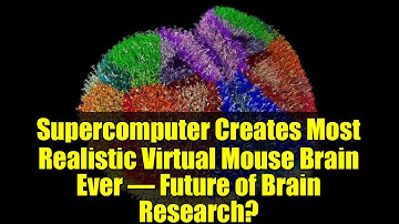 Supercomputer Creates Most Realistic Virtual Mouse Brain Ever – Future of Brain Research?