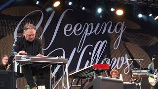 Video thumbnail of "Weeping Willows - Forever Blue - Gröna Lund, Stockholm 2022.05.27"