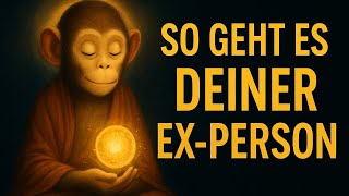  Karma, halt... 🐒🍌