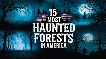 15 Most Haunted Forests in America (U.S.) – Real Scary Horror Stories