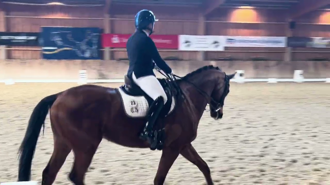 M* Dressur Nußloch 07.03.26 M2