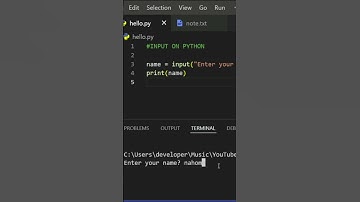INPUT ON PYTHON #shorts