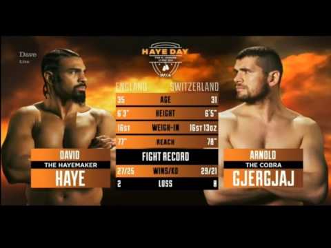 David Haye vs