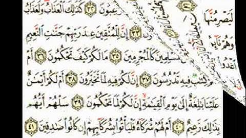 سورة القلم للقاريء احمد سعيد العمراني