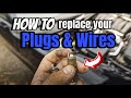 How To Change Spark Plugs & Wires | LS Engines