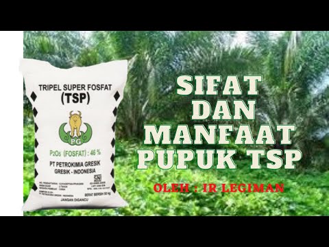 Video: Ekor Kuda Lapangan - Aplikasi, Kontraindikasi, Komposisi, Sifat Berguna