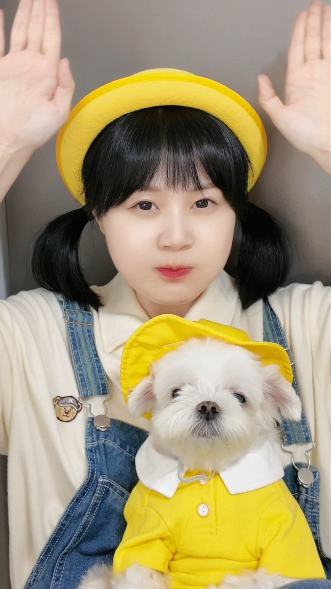 강아지와 주인은 닮아간다??Puppies and owners resemble each other#funny #shorts