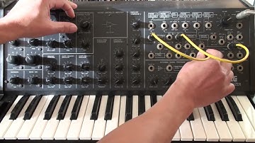 Korg MS-20 mystery express loop #korgms20 #2WireChallenge