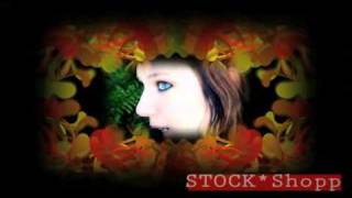 After Effects Template-Photo Display N Accents