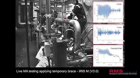 Real-Time Vibration Reduction with Live Motion Amplification