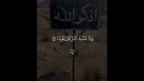 القارئ فارس عباد😴❤️#حالات واتس اب دينية قصيرة💛#ارح سمعك تلاوة هادئة تنسيك هموم الدنيا كلها
