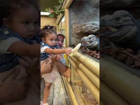 Everyone loves feeding