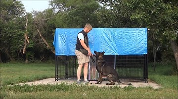 Pam Johnson: Video #6 - Pivots (On & Off the Platform)