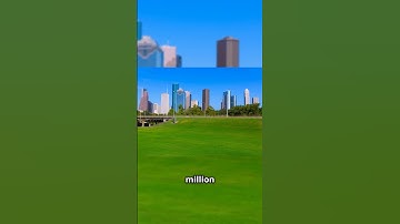 #branching out: the #digital tool promoting #tree #equity in #houstontx #sustainability #enviornment