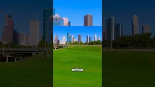 #branching out: the #digital tool promoting #tree #equity in #houstontx #sustainability #enviornment