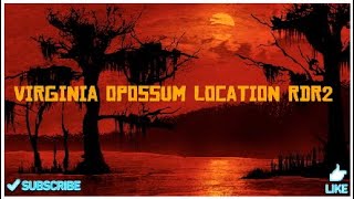Opossum location RDR2