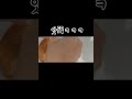 #인천베이커리 #송도카페 #송도브런치 #샌드위치포장🎈송도본점인천 연수구 센트럴로 160 판매시설동 1층 175호, 176호 C동 안스베이커리옆 🎈청라점인천 서구 보석로 18 1층
