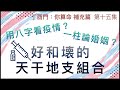 補充篇 #15【用八字看疫情？ 如何界定好和壊的天干地支組合？ 一柱論婚姻是指那種日主？】