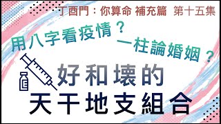 補充篇 #15【用八字看疫情？ 如何界定好和壊的天干地支組合？ 一柱論婚姻是指那種日主？】