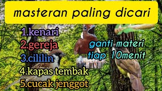 masteran paling dicari❗(kenari, gereja, cililin, kapas tembak, cucak jenggot)