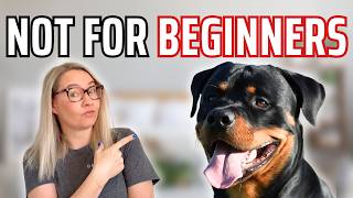 Pros and Cons of Owning a Rottweiler | Is a Rottie Right for You?
