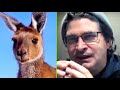 Capture de la vidéo Steve Albini's Kangaroo Story (Shellac Australia Tour With Fugazi)