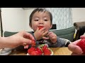 Appetite explosion ❕🍓 I can't hear the voices around me 👶【食欲爆発❗食後のデザートに大好きないちご🍓周りの声は聞こえません👶】