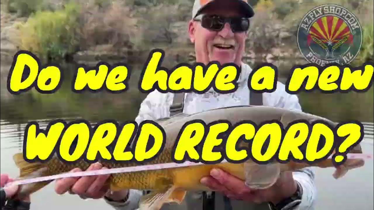 NEW potential WORLD RECORD fish caught by fly angler in Arizona YouTube
