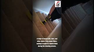 Dreaming of Carpet Cleaning #carpetcleaning