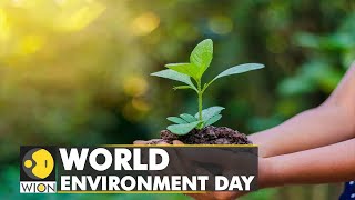 World Environment Day: Impact of climate change all around us | World English News | WION screenshot 1