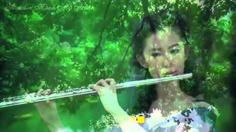 Mỹ nhân cổ trang Lưu Diệc Phi