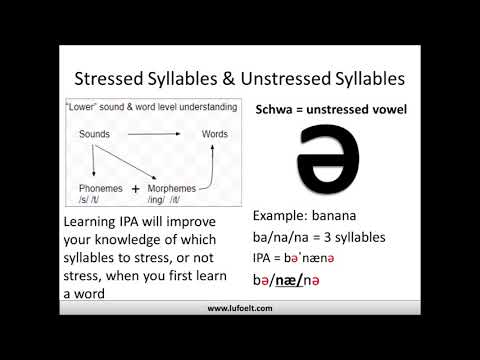 洋書 New Perspectives on English Word Stress Amazon.com: New Perspectives on English Word Stress