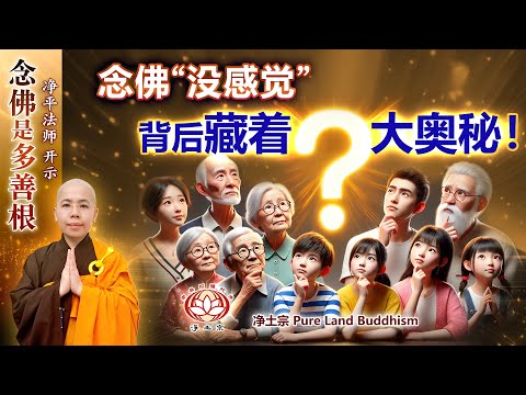 念佛“没感觉”，背后藏着大奥秘！ | 净平法师 开示