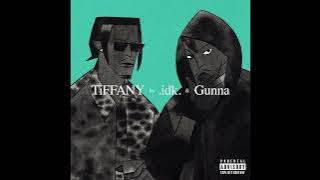 Download lagu IDK & Gunna - TiFFANY (AUDIO)