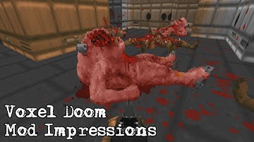 Voxel Doom (Mod Impressions)