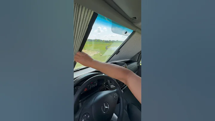 Vehicle Window Privacy Shades for the WIN 🥇