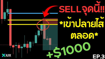 สอนใช้ Fibonacci Retracement เทคนิคเจ้าตลาดที่ไม่มีใครเคยบอกคุณ!! (ดูจบใช้เทรดทองทำกำไรได้เลย)