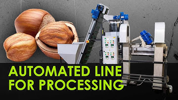 Industrial Hazelnut Processing Line | High Efficiency & Automation