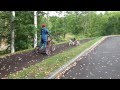 Dog powered Trike by Moonlight Ladies