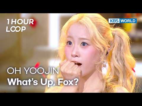 [1HR LOOP🔥] OH YOOJIN - What’s Up, <strong>Fox</strong>? [Music Bank] | KBS WORLD <strong>TV</strong> 260724
