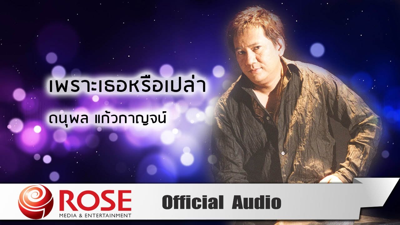 ปกเพลง เพราะเธอหรือเปล่า (Audio) — CHAE DANUPOL KAEWKANJAN