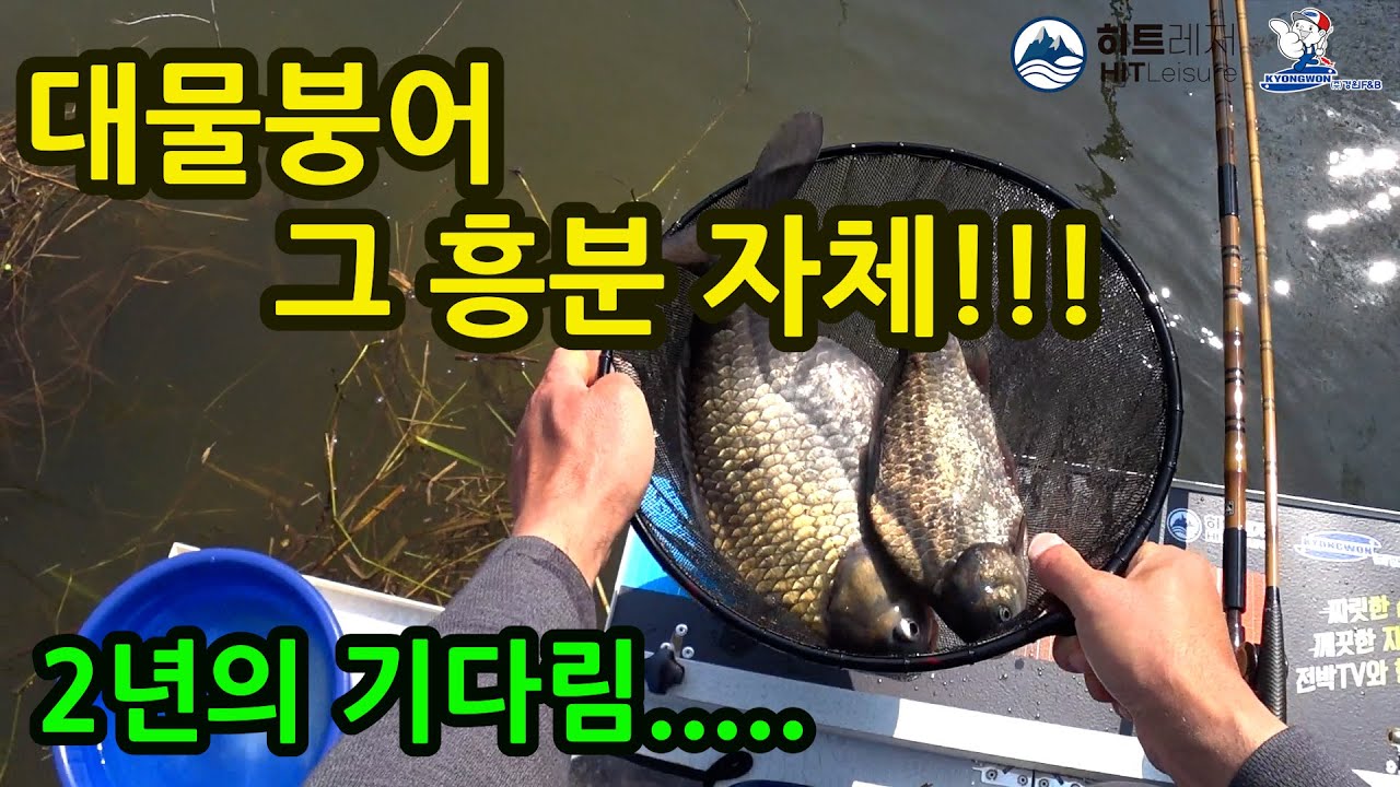 [노지전층낚시] 대물과의 만남!!