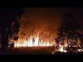 Catastrophic WildFires burning across Queensland, Australia (Nov 2018)