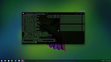 ArcoLinux : 972 Add ArcoLinux spices to Arch Linux Deepin