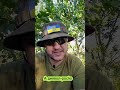 Бог створив ...