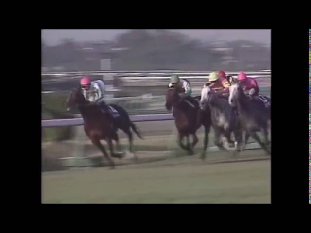 第38回 有馬記念 【トウカイテイオー】 奇跡の復活 - YouTube