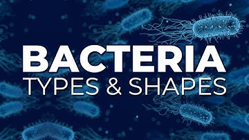 BACTERIA TYPES AND SHAPES