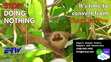 Convert Visual FoxPro or Risk Crashing: Doing Nothing NOT a Good Option (2024)