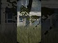 The tundra:one tap experience #tense #gaming #dayzgamers #dayz #sniping #clips