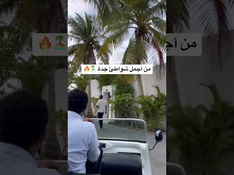 من أجمل شواطئ جدة 